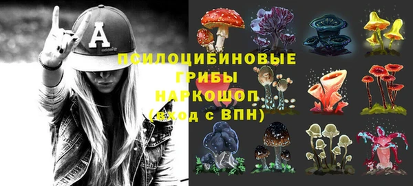 ПСИЛОЦИБИНОВЫЕ ГРИБЫ Остров