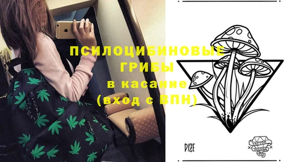гашиш Няндома