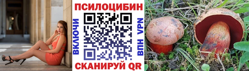 Псилоцибиновые грибы Psilocybine cubensis  Шумерля 