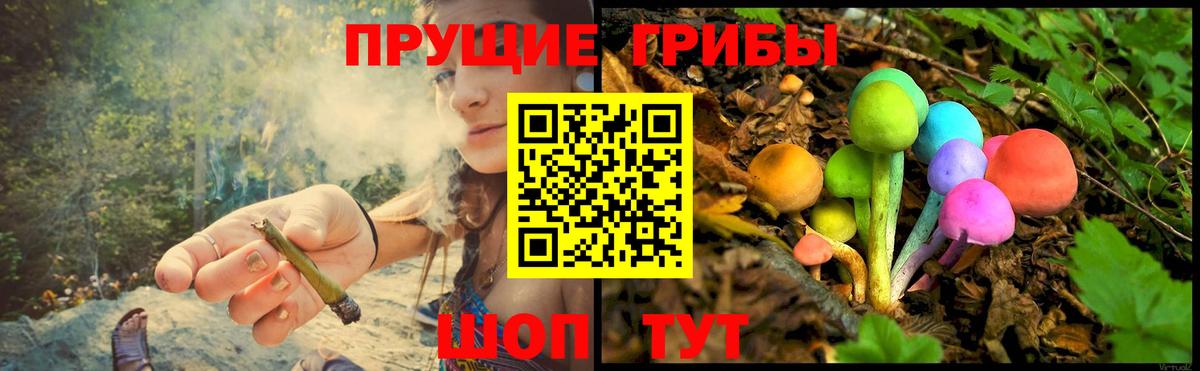 Шумерля  Псилоцибиновые грибы мицелий  Галлюциногенные грибы Psilocybine cubensis  Вход с VPN 